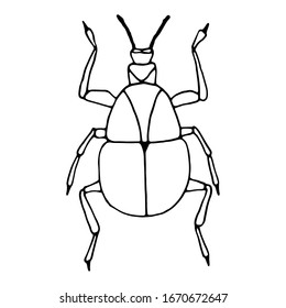 Similar Images, Stock Photos & Vectors of Beetle bug icon. Outline ...