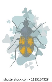 Vector Hand Drawn beetle  in retro style.  Realistic  drawings of beetles. Vector illustration 