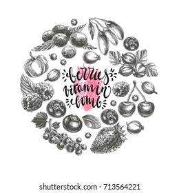 Vector hand drawn berries illustration. Vintage style. Retro sketch background.