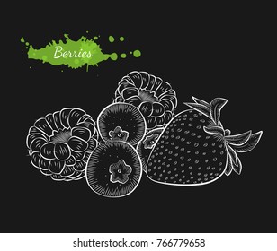 Vector hand drawn berries. Isolated hand drawn illustration on black background. Organic natural healthy product. Great for banner, poster, label, package