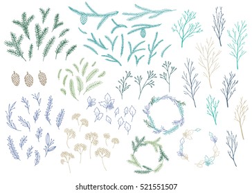 Vector hand drawn big collection of christmas plants and branches. Elegant design elements.