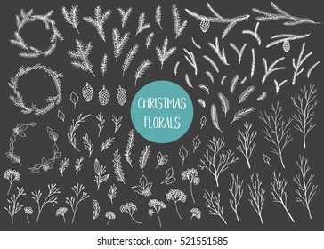 Vector hand drawn big collection of christmas plants and branches. Elegant design elements.