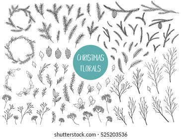 Vector hand drawn big collection of christmas plants and branches. Elegant design elements.