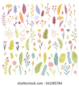 Vector hand drawn big flower and plant collection. Cute and elegant botanical floral set.