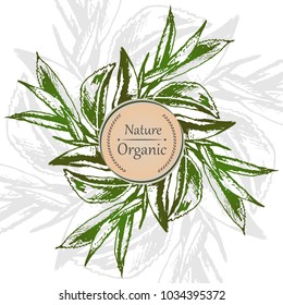 Vector hand drawn bio and ecology logotype label for print, card, wrapping. Emblem  wreath  green leaves with text for organic nature products, cosmetics, food and drink, healthy life.