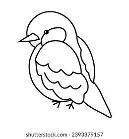 vector hand drawn of bird, vector illustration art