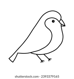 vector hand drawn of bird, vector illustration art