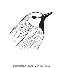 vector hand drawn bird outline illustration