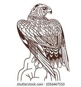 Vector hand drawn bird of prey. Illustration in bohemian style.