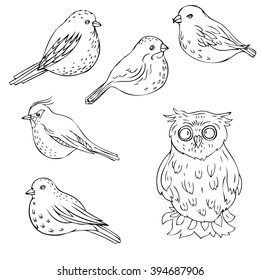 vector hand drawn birds, isolated songbirds and owl,  nature design  elements
