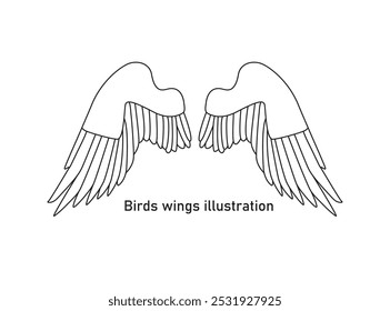 vector hand drawn birds wings collection set