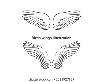 vector hand drawn birds wings collection set