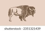 Vector hand drawn bison on sepia background,graphical vintage illustration. Bull