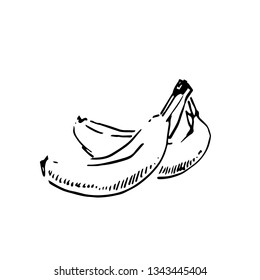 Vector hand drawn black color sketch of banana on white background