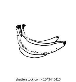 Vector hand drawn black color sketch of banana on white background
