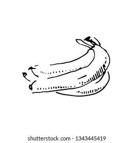 Vector hand drawn black color sketch of banana on white background