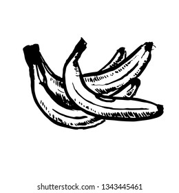 Vector hand drawn black color sketch of banana on white background