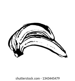 Vector hand drawn black color sketch of banana on white background