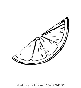 Vector hand drawn black line illustration of orange or lemon piece isolated on white background