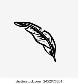 Vector hand drawn black line design elements. Exotic summer botanical illustrations. Tropical Leaves in doodle style.