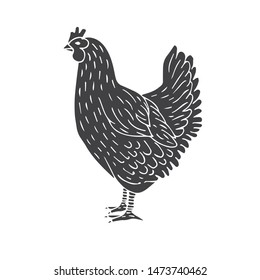 Vector hand drawn black sketch chicken isolated on white background