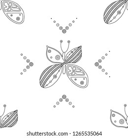 Vector hand drawn black and white seamless pattern, illustration of butterfly with decorative geometrical elements, lines, dots. Line drawing. Graphic design.