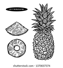 Vector hand drawn black and white  illustration of pineapple and slices of pineapple.