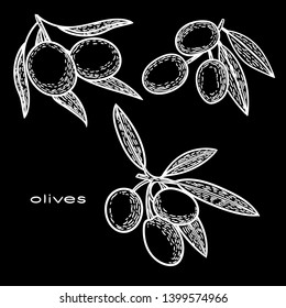 Vector hand drawn black and white illustration of olives in engraving vintage style.