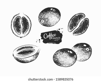 Vector hand drawn black and white illustration collection of coffee beans and berries isolated on white background.