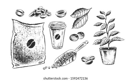 Vector hand drawn black and white illustration collection of coffee sack and beans isolated on white background.