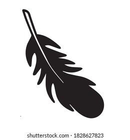 Vector hand drawn black and white feather