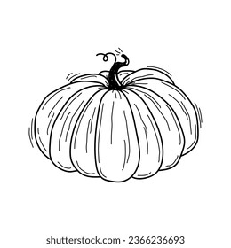 Vector hand drawn black and white sketch of round pumpkin isolated on white background