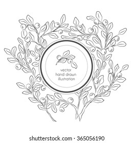 Vector hand drawn black and white illustration with blueberries branches with leaves and berries and circle label 