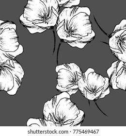Vector hand drawn black and white poppy flower pattern seamless background