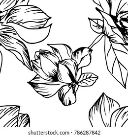 Vector hand drawn black and white big magnolia flower pattern seamless background, fabric, textile