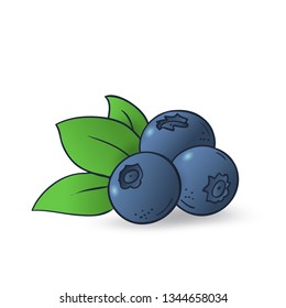 Vector hand drawn blueberry. Decorative cartoon style collection farm product restaurant menu, market label
