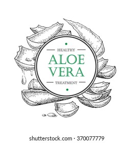 Vector hand drawn botanical Aloe Vera. Engraved illustration. Label or flyer
