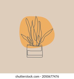 vector hand drawn botanical background design