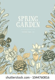Vector hand drawn botanical banner. Vintage illustration. Vector design template. Floral background.