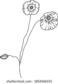 Vector hand drawn botanical design element. Sketched branch with paint texture.