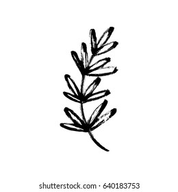 Vector hand drawn botanical design element. Sketched branch with paint texture.