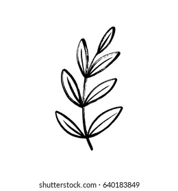 Vector hand drawn botanical design element. Sketched branch with paint texture.