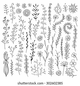 Vector hand drawn botanical elements set. Monochrome herbs collection. Good for wedding invitation, birthday card, web page design.