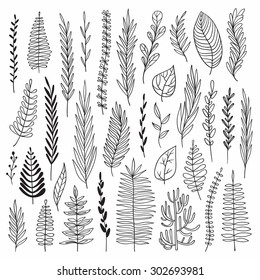 Vector hand drawn botanical elements set. Monochrome herbs collection. Good for wedding invitation, birthday card, web page design.