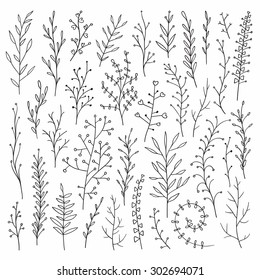 Vector hand drawn botanical elements set. Monochrome herbs collection. Good for wedding invitation, birthday card, web page design.