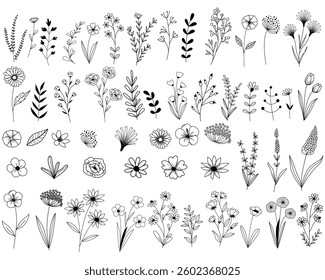 Vector Hand drawn Botanical flowers and leaf elements, Flower, herbs, Vintage flowers doodle collection design, template, wedding card, greeting card, invitation, postcard.