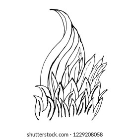 Vector hand drawn botanical illustration of abstract plant isolated on white background. Floral monochrome illustration in sketch style. Use for your design