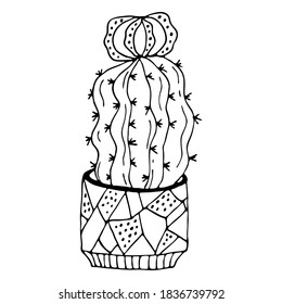 Vector hand drawn botanical illustration. Black outline cactus with flowers in modern pot isolated on white background.