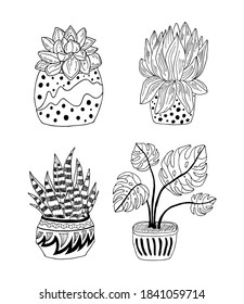 Vector hand drawn botanical illustration. Black outline cactus with flowers in modern pot set isolated on white background. Indors plants collection.