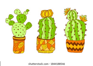 Vector hand drawn botanical illustration. Green cactus with flowers in modern terracotta pot set isolated on white background. Indors plants collection.